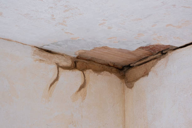 Best Flood restoration services  in Lauderdale, MN