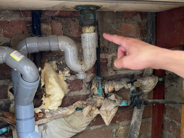 Best Flood damage cleanup  in Lauderdale, MN
